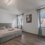 Velke Na Velkem Namesti S Vybavenou Kuchyni 公寓 Hradec Králové