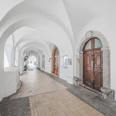 Velke Na Velkem Namesti S Vybavenou Kuchyni Hradec Králové