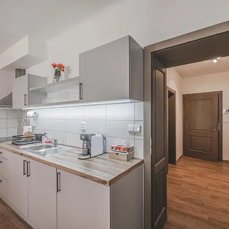 Velke Na Velkem Namesti S Vybavenou Kuchyni Apartment